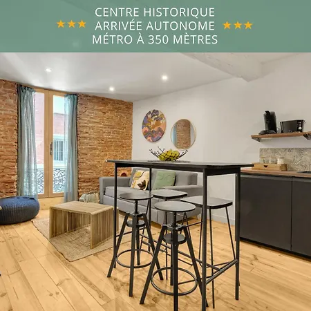 Le Caraman Boheme - Confort A Deux Pas Du Metro * トゥールーズ