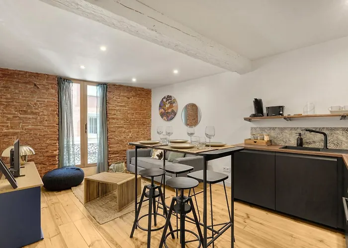 Apartman Le Caraman Boheme - Confort A Deux Pas Du Metro Toulouse
